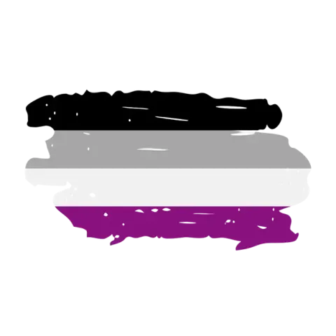 asexual flag colours