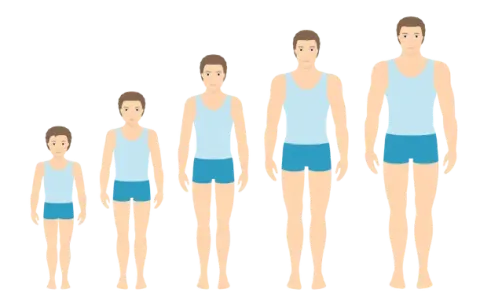 boy growing